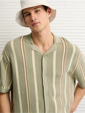 AE striped button up sweater polo